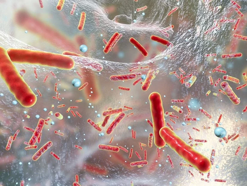 Keime, Bakterien in Biofilm, grafische Darstellung