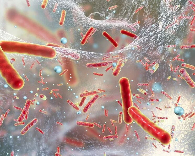 Keime, Bakterien in Biofilm, grafische Darstellung Keime in der Wundheilung
