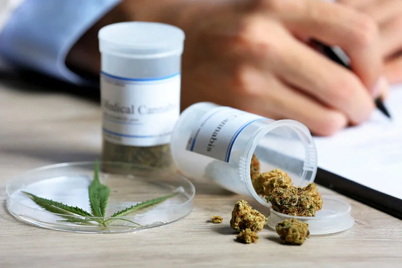 Teaser Draco Medizinalcannabis