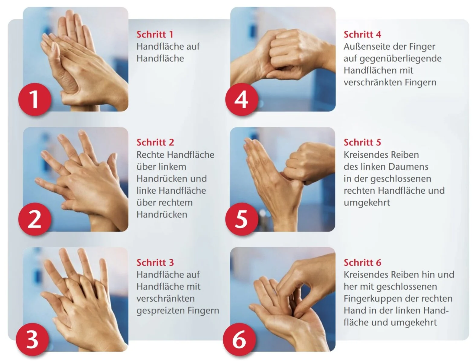 Hygienische Händedesinfektion, 6 Schritte
