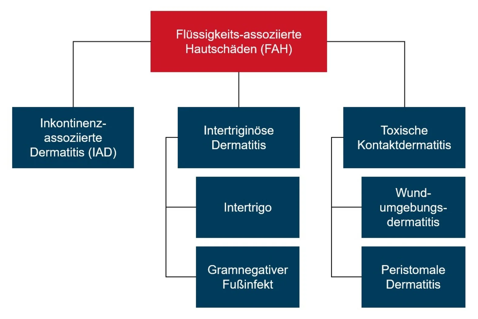 Flüssigkeits-assoziierte Hautschäden (FAH): Klassifikationschema
