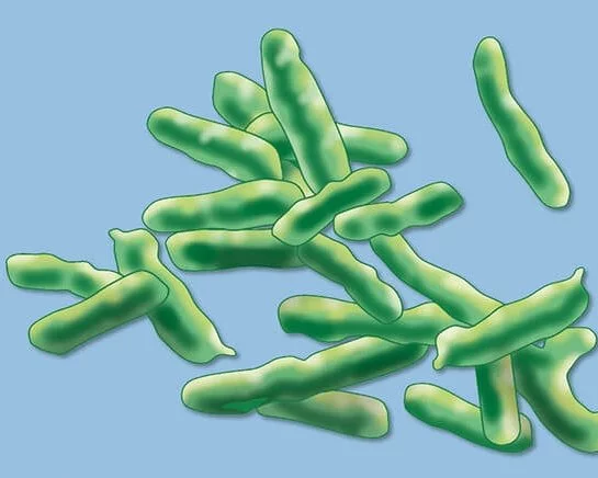 MRGN (Multiresistente gramnegative Bakterien), Risiken, Hygiene